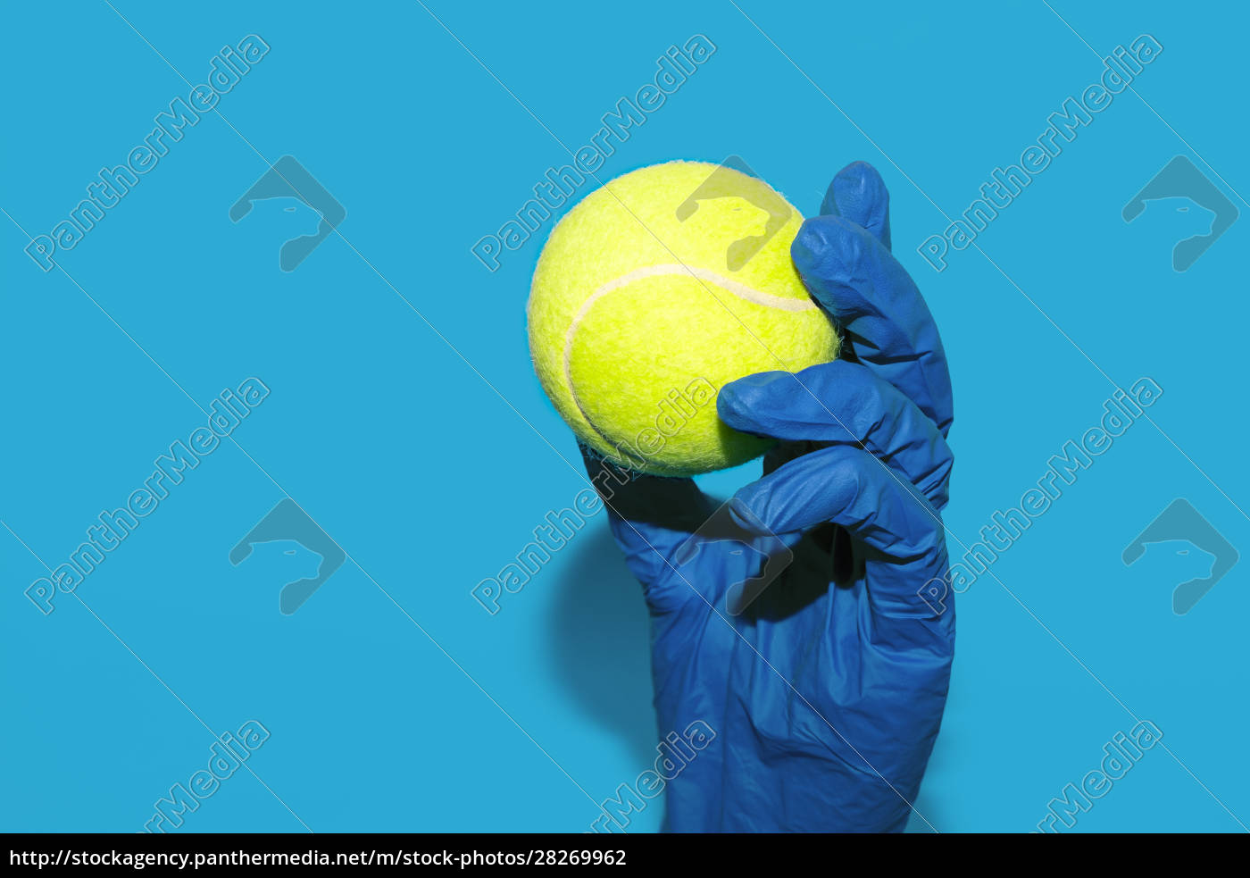 tennis cricket gloves